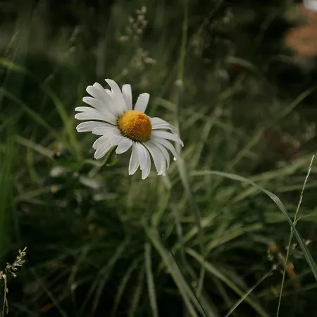 Paerchen Auszeit Am Rande Der Heide Schwienau