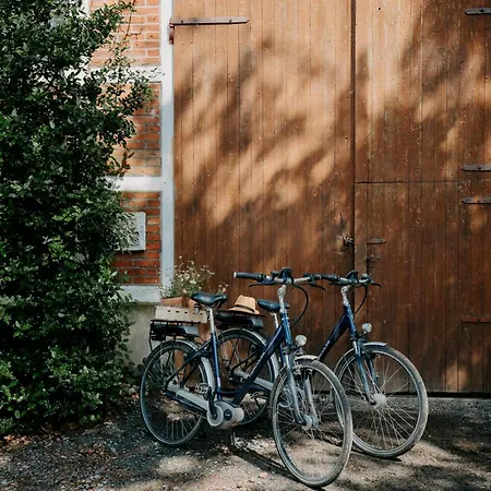 Paerchen Auszeit Am Rande Der Heide *