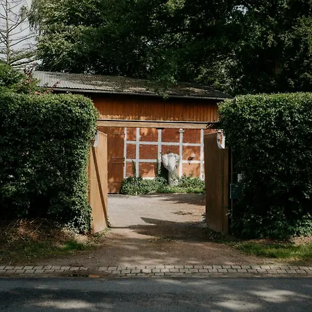 Paerchen Auszeit Am Rande Der Heide *