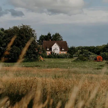 Paerchen Auszeit Am Rande Der Heide Apartamento