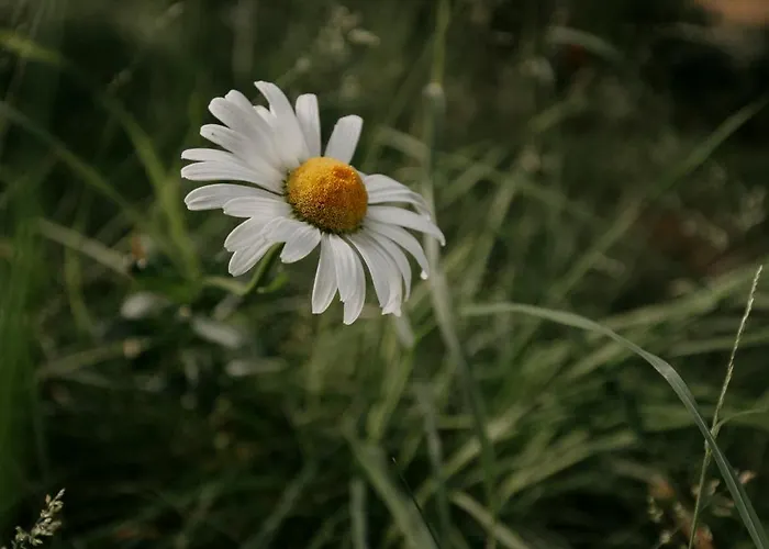 Paerchen Auszeit Am Rande Der Heide Schwienau