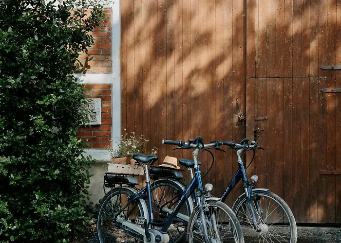 Paerchen Auszeit Am Rande Der Heide *