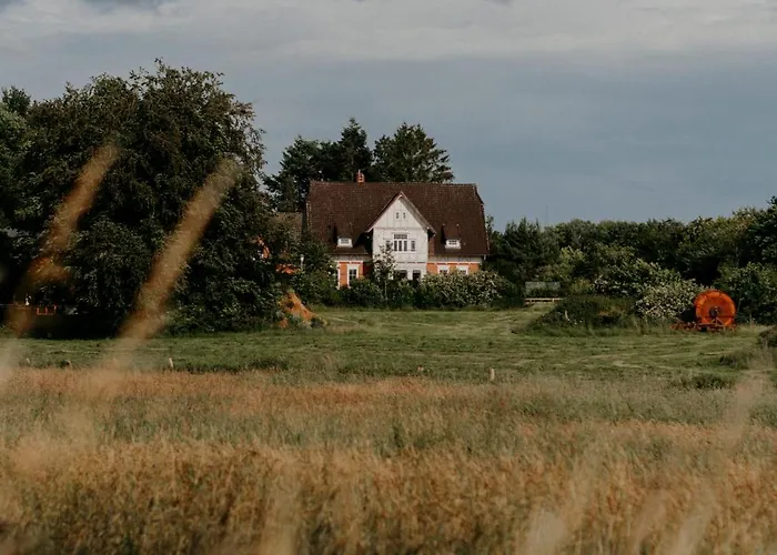 Paerchen Auszeit Am Rande Der Heide Apartman